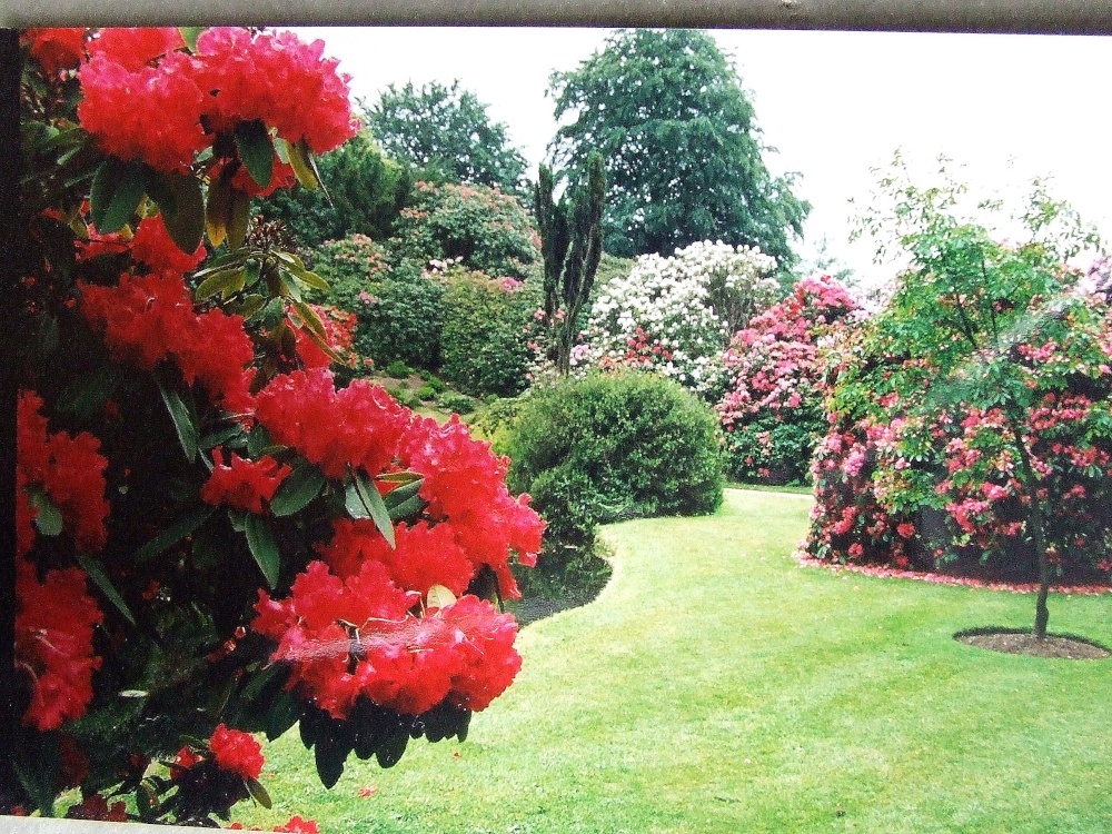 Bidulph Grange gardens