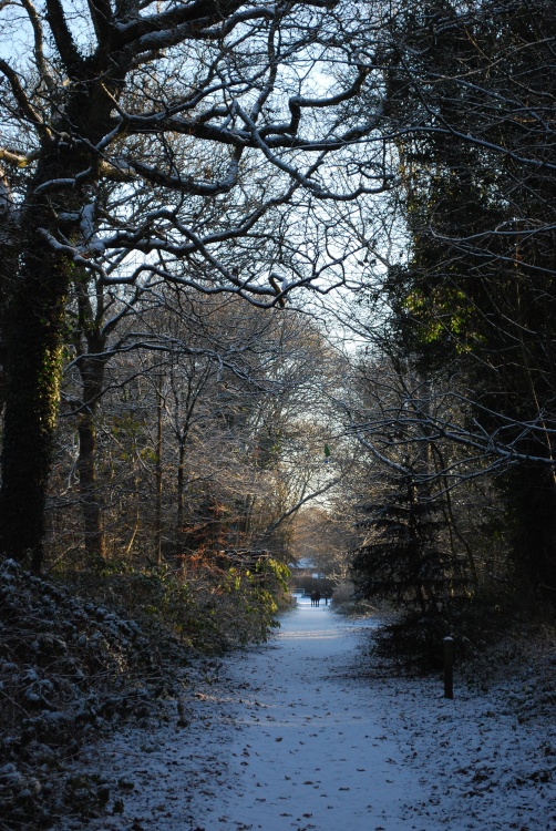 Saltwells in the snow