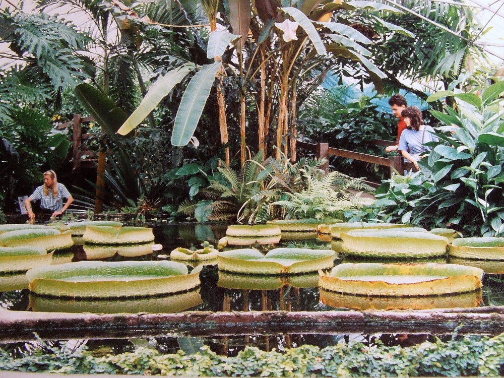 Stapeley Water Gardens