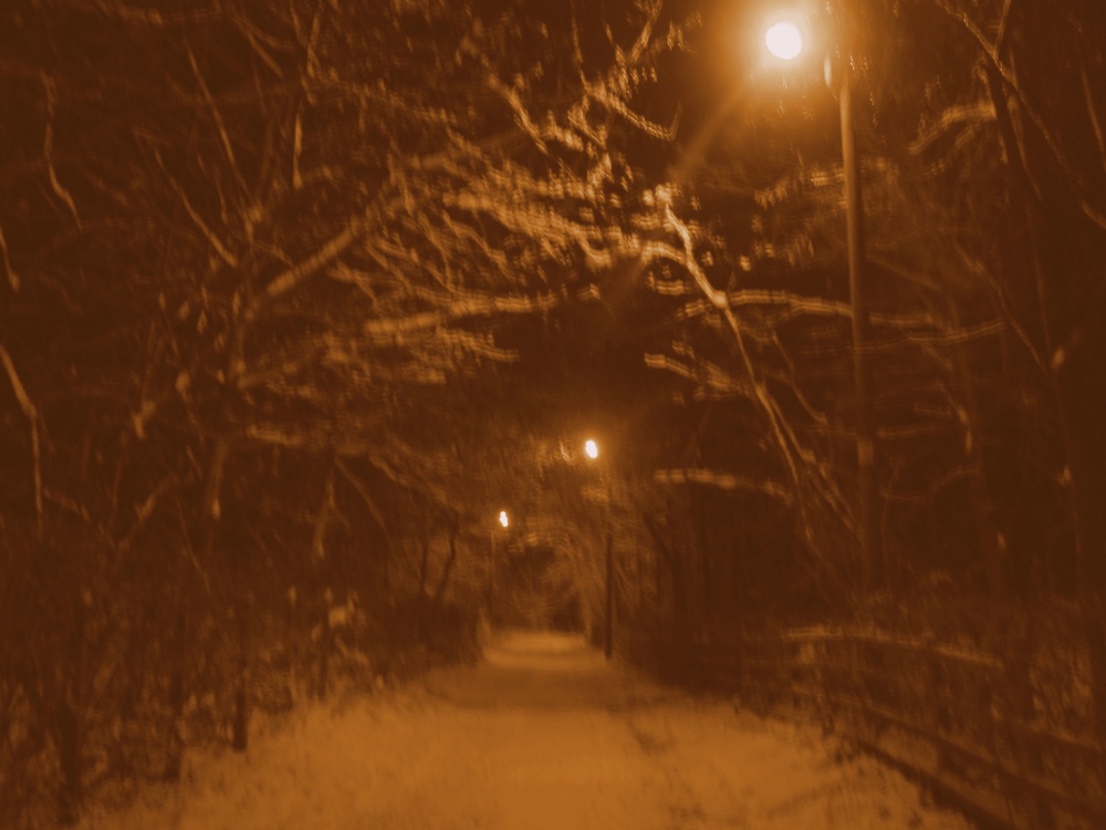A winter night