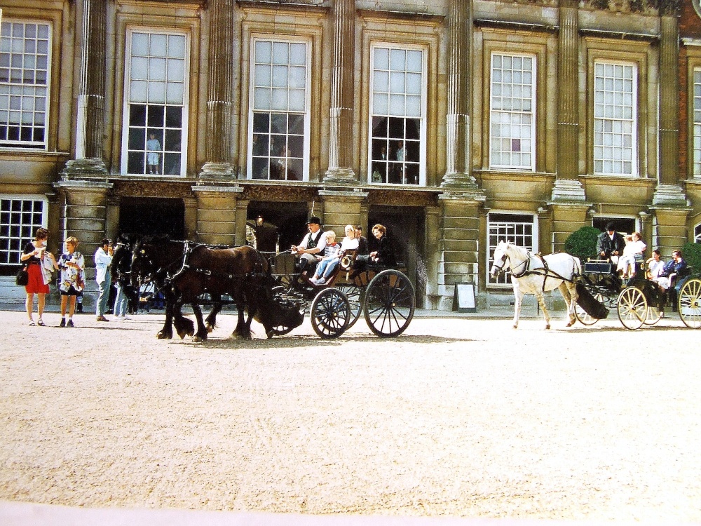 Horse and carriage photo by Thomas Crossley