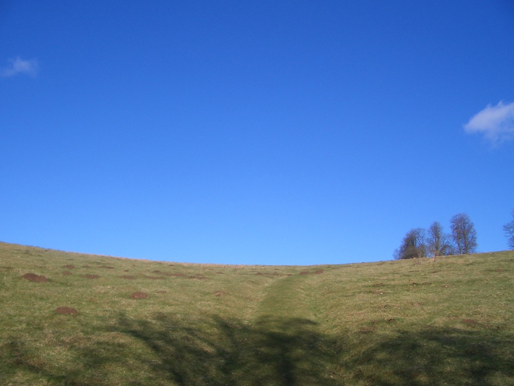 Blue Sky at Swanbourne Lake, Arundel photo by Viola Woolcott