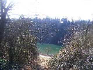 Swanbourne Lake - Arundel photo by Viola Woolcott
