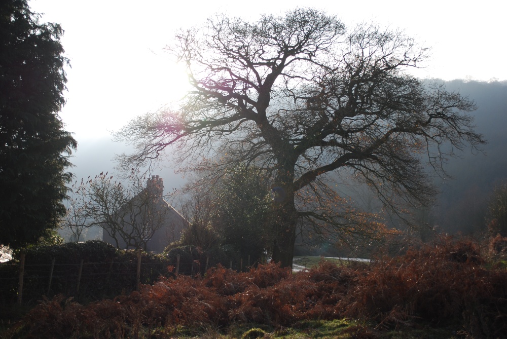 Cottage in winter at Castlemorton Common