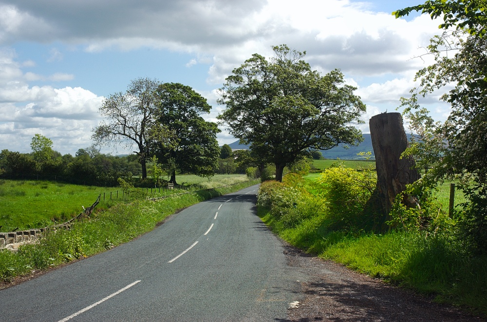 Photograph of Quiet country lane near Waddington.