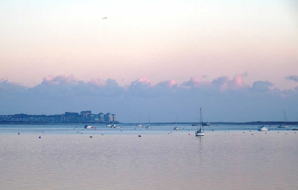 View of Exmouth Quay from Powderham