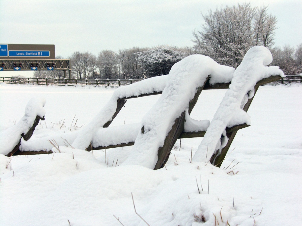 Old fence in its winter coat