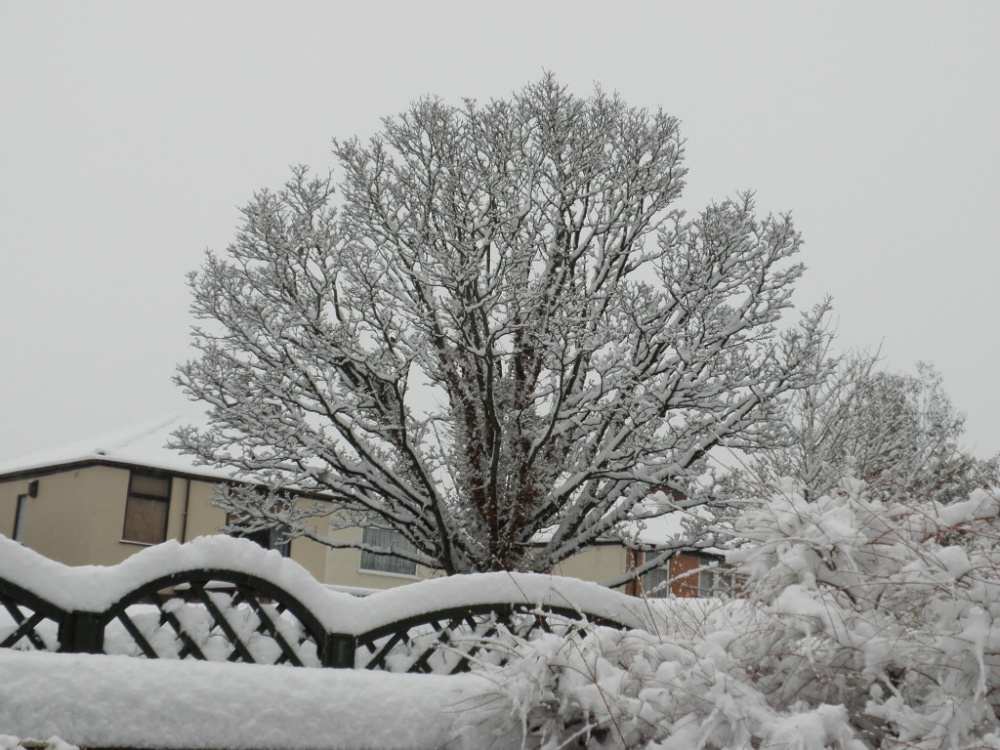 Winter comes to Altrincham