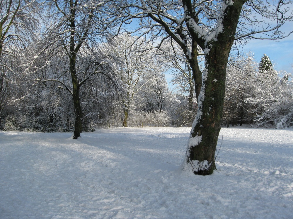 Taylor Park snow