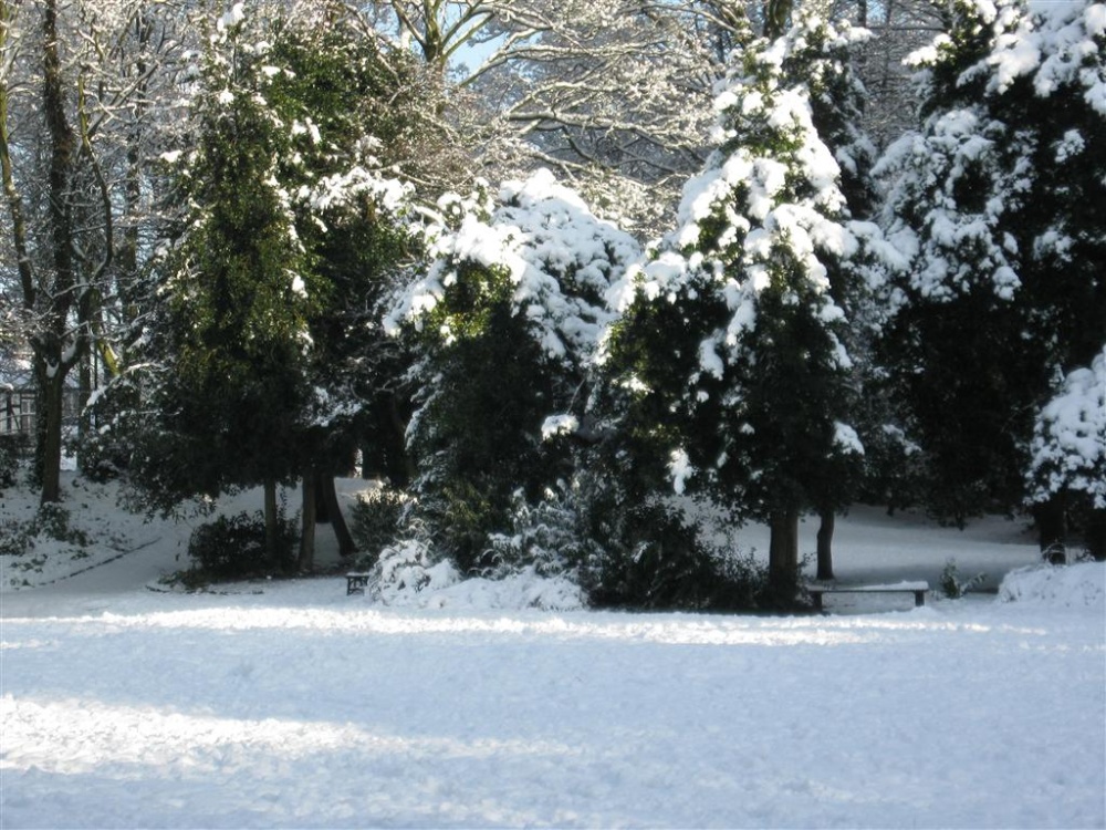 Taylor Park snow