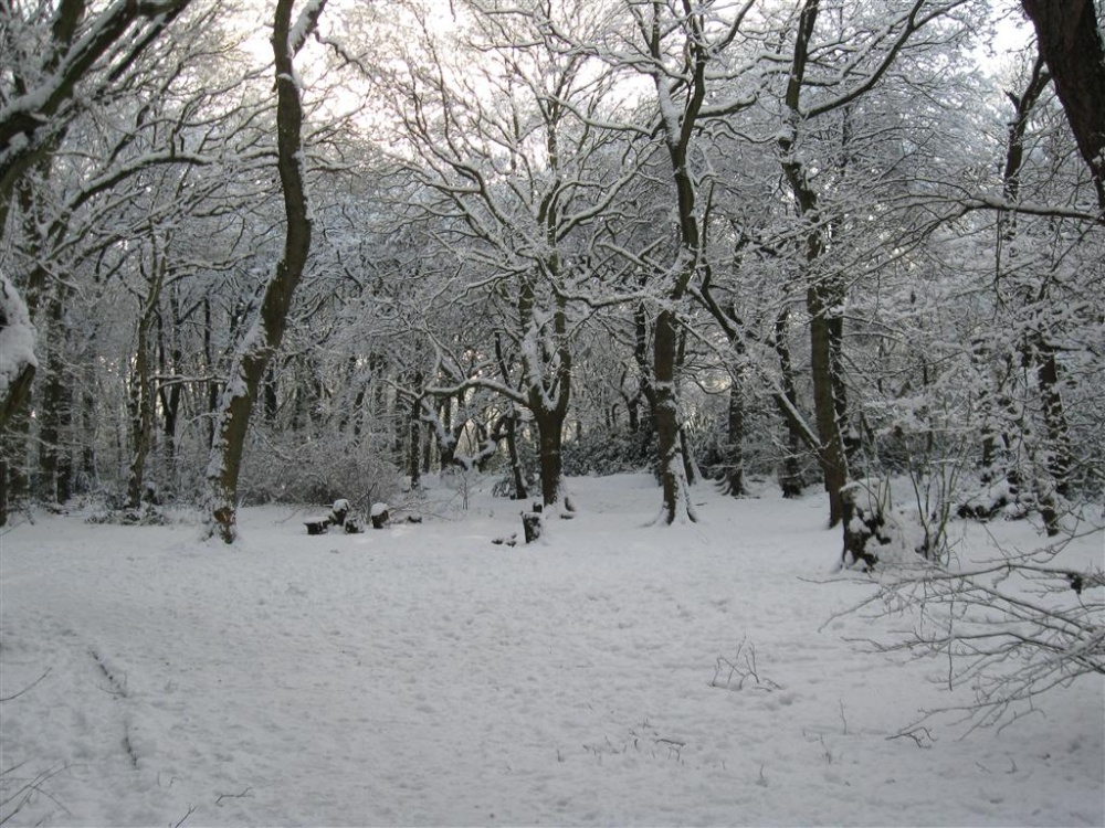 Taylor Park snow