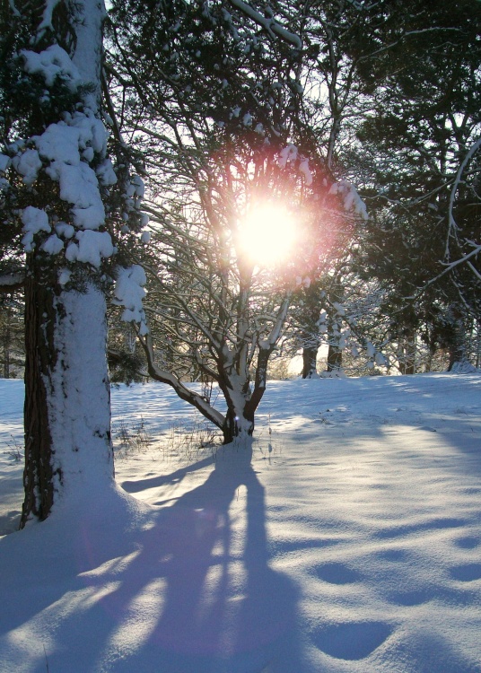 Bishops Park, Bishop Auckland, Durham 6th Jan 2010