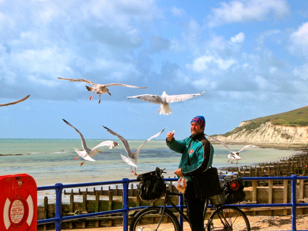 Feeding the gulls in Eastbourne