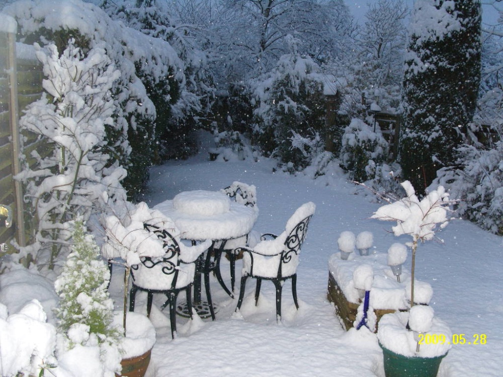 Photograph of Snowy garden January 2010