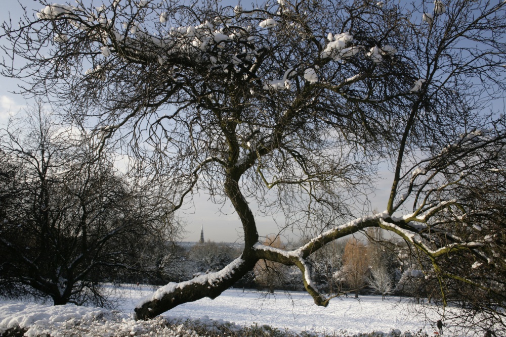 Photograph of Park view and London
