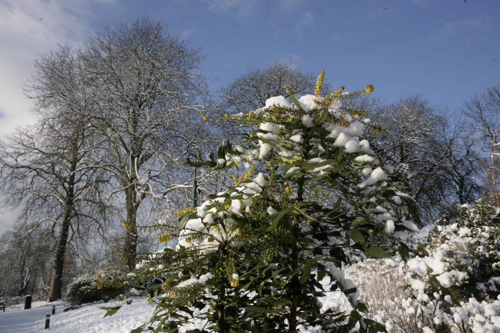 Photograph of Picture postcard