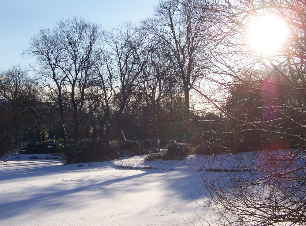 The frozen pond in the park