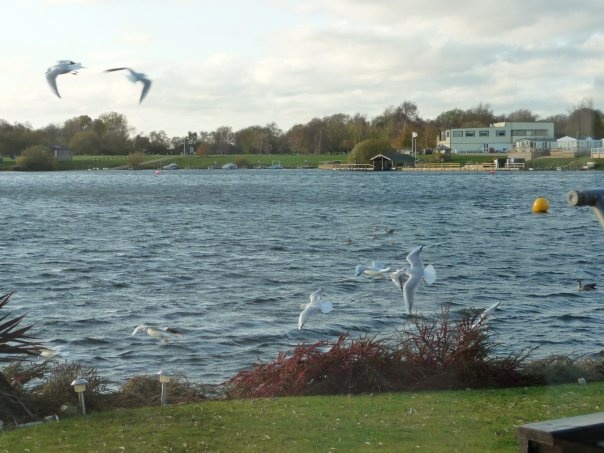 Tattershall Country Park (Waterski lake)