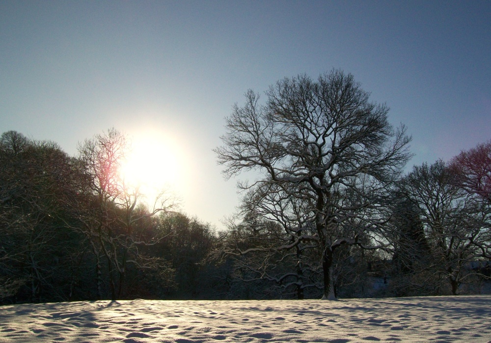 Bishops Park, Bishop Auckland, Durham 7th Jan 2010