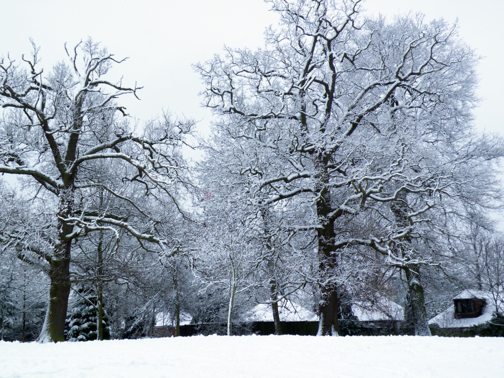 Eastcote House gardens, Eastcote Village