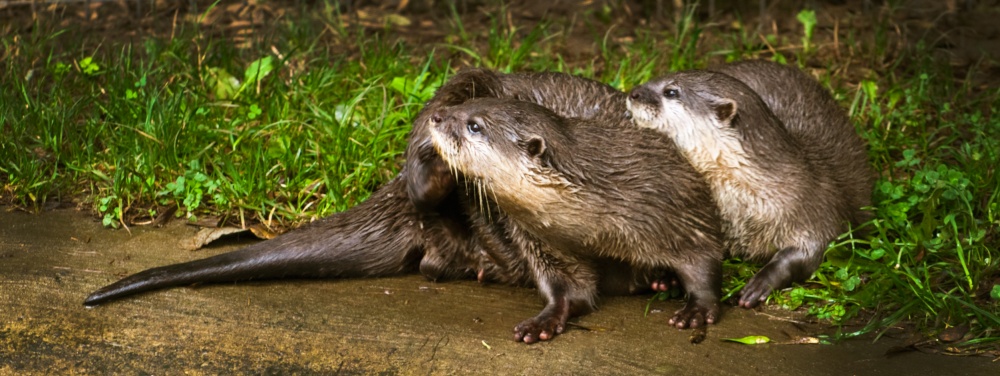 Are we missing something?