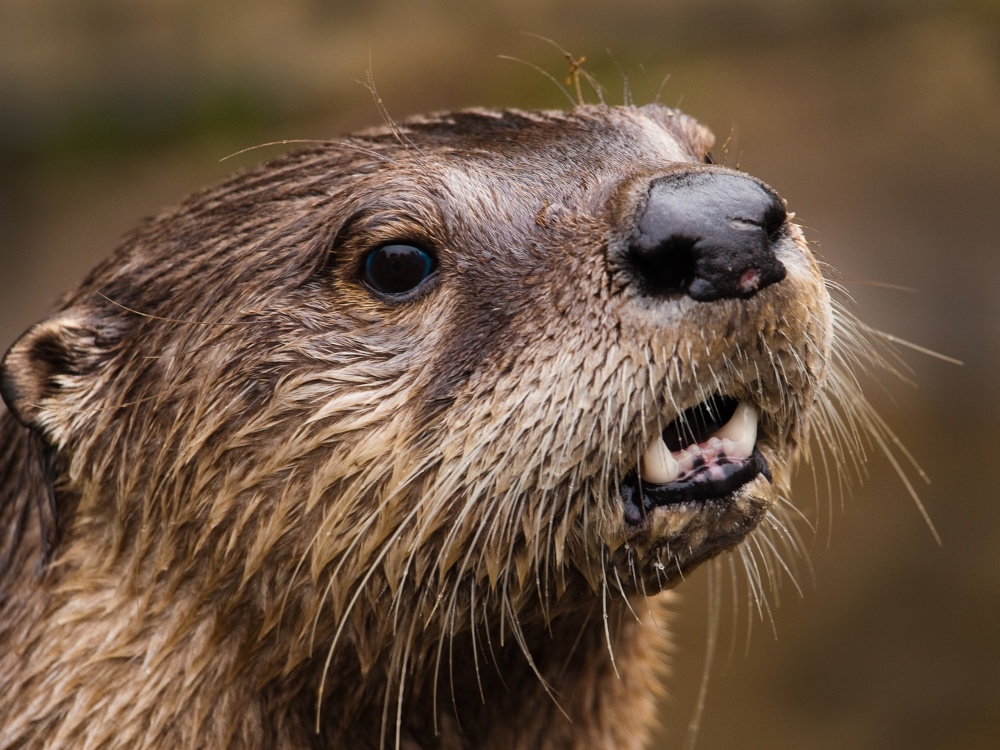 This IS my best side