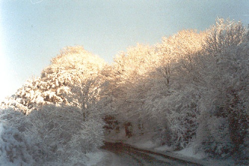 Photograph of KIngsclere Downs