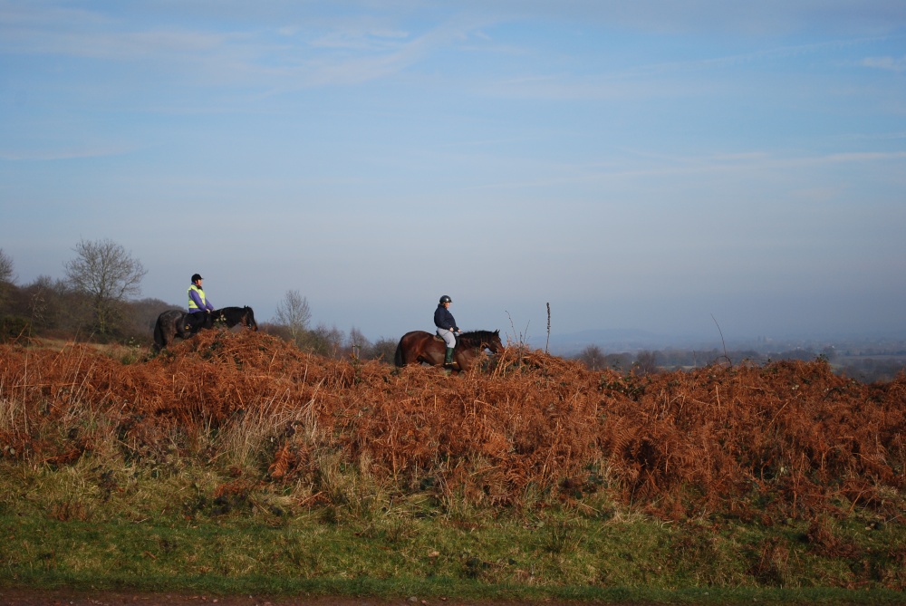 Horse riding at Castlemorton Common