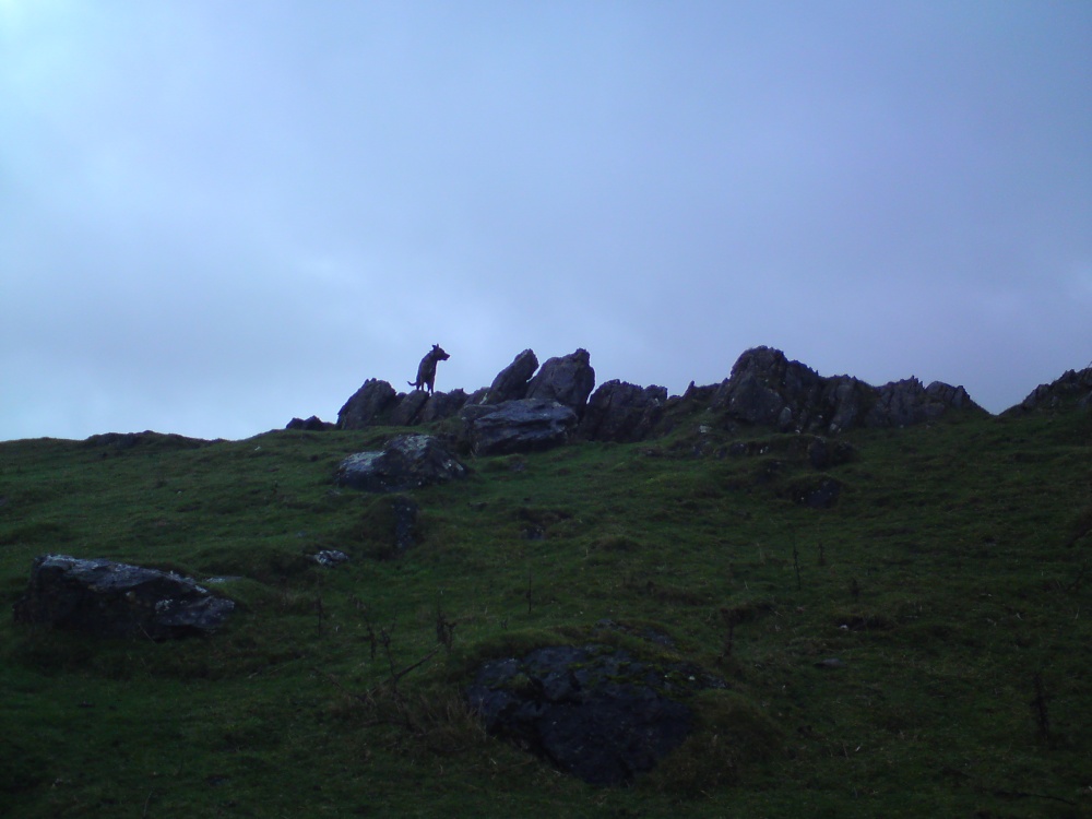 Photograph of Winscombe Hill