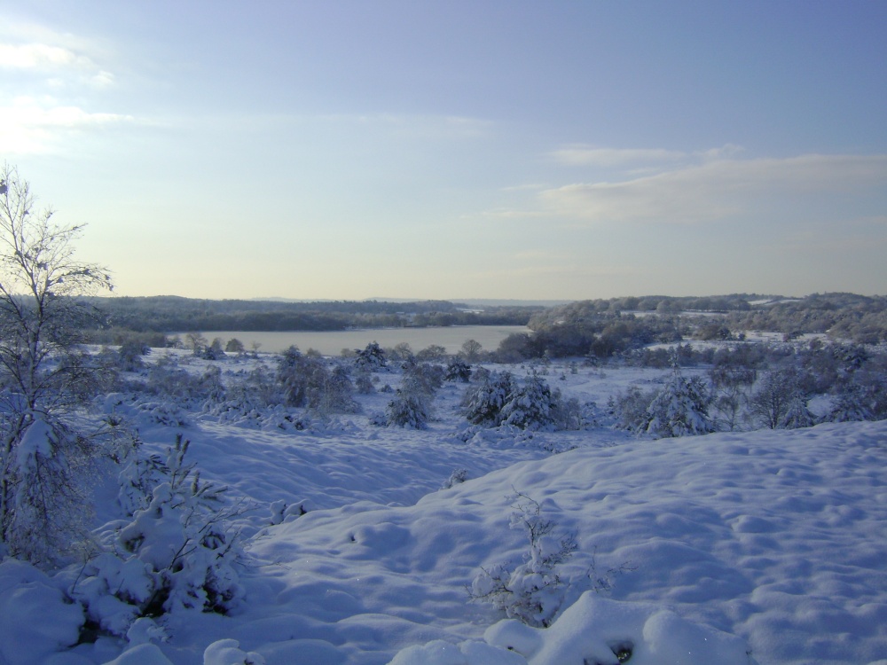 Photograph of Frensham Common