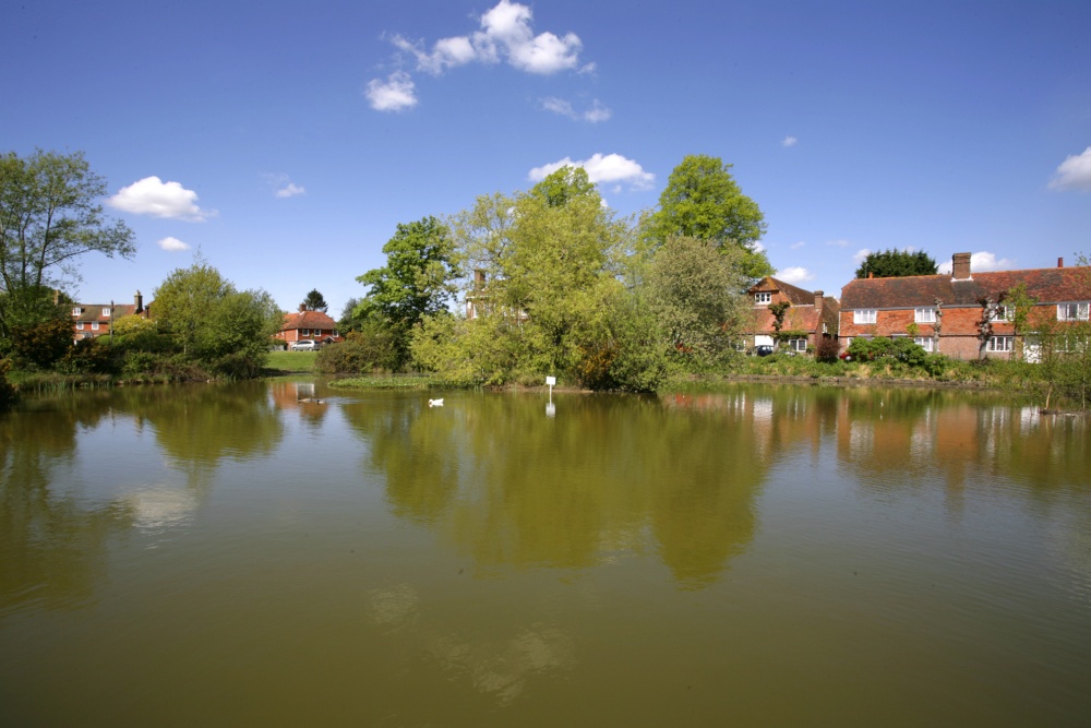 Photograph of Village pond