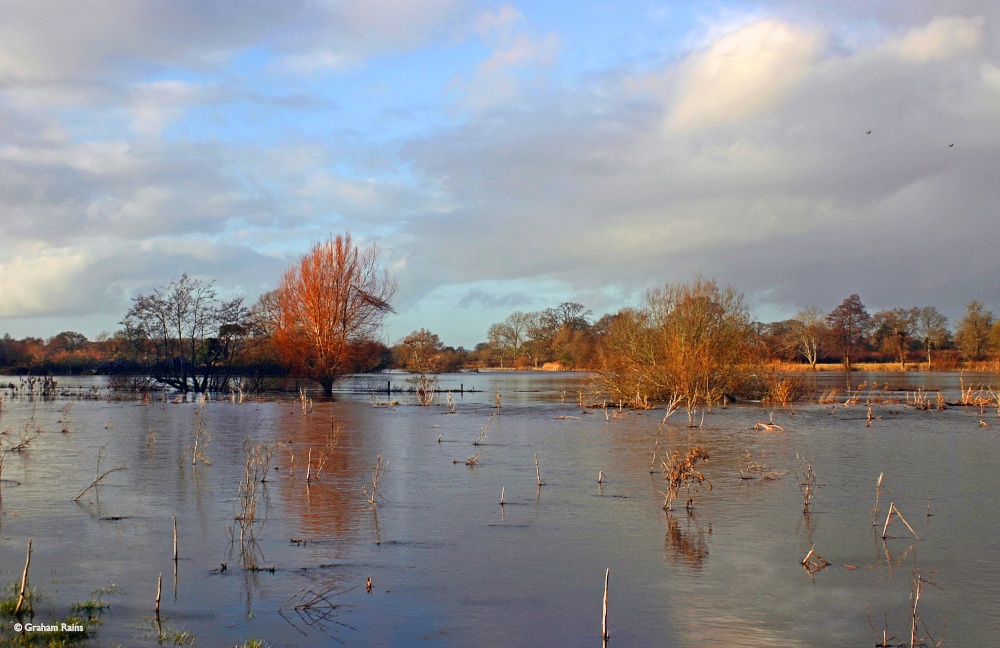 Stour Valley Winter, Shillingstone.