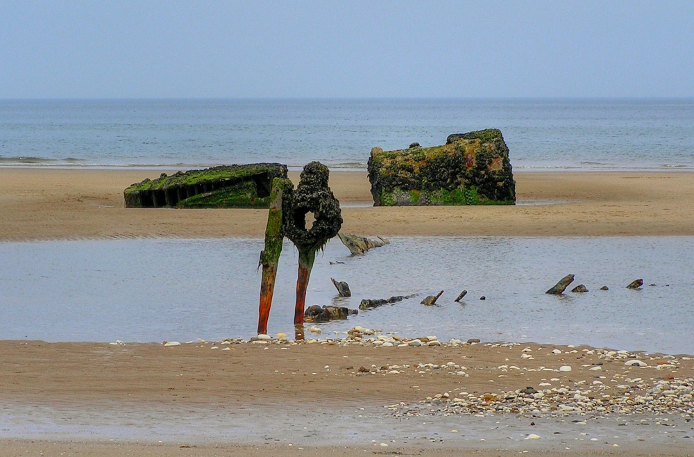On the beach near Speeton
