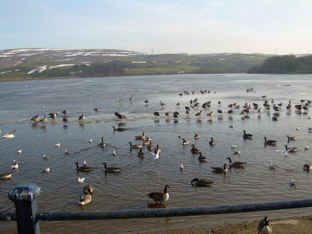 Hollingworth  Lake