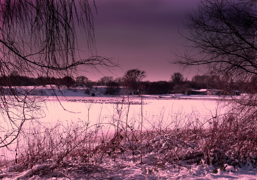 Photograph of Snowy Dawn