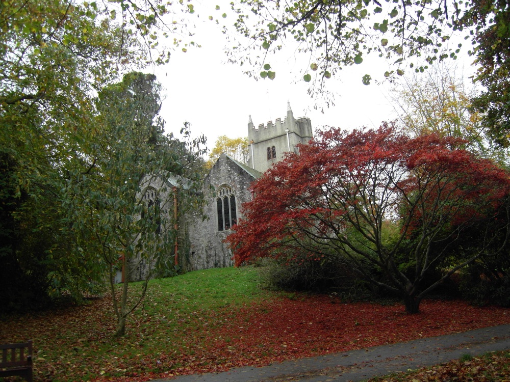 Autumn photo by Nigel Kyte