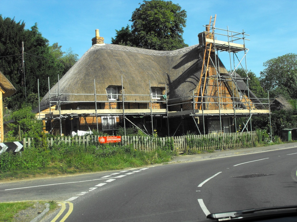 Thatch maintenance