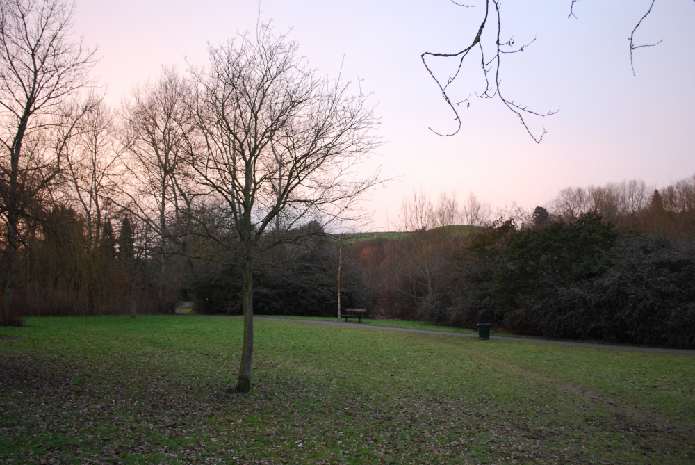 As the sun goes down on the river bank