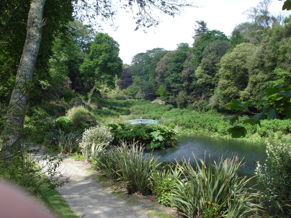 Trebah Gardens
