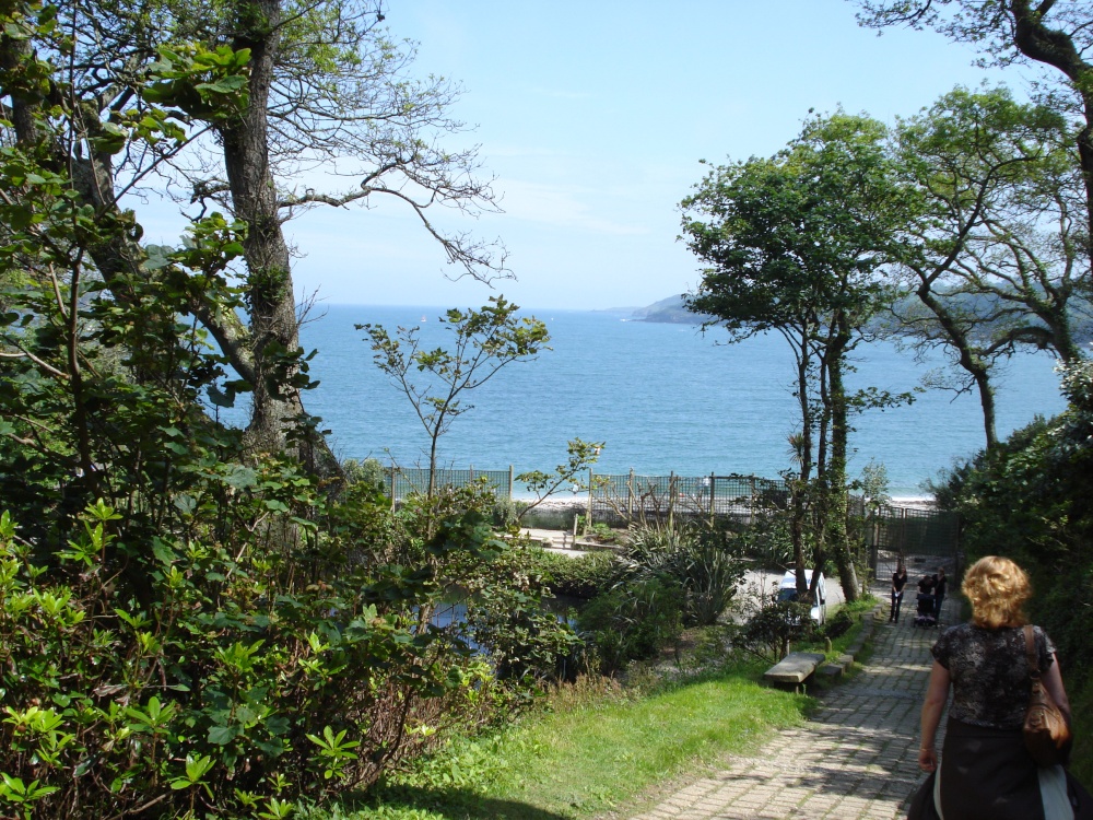 Trebah Gardens