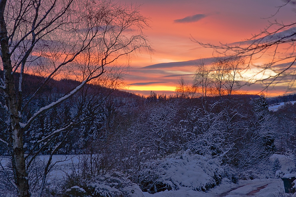 Winter Sunset photo by Alan French