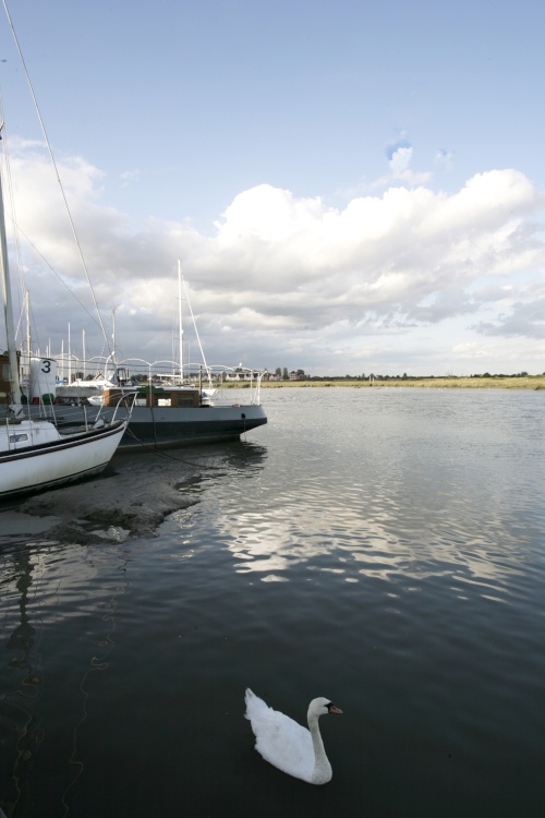 The Estuary and creek