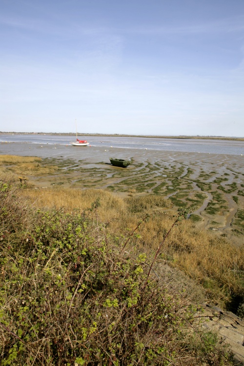 The Estuary and creek