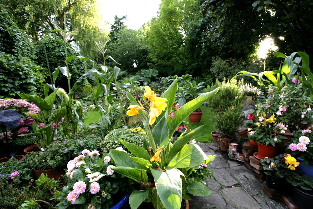 Dads garden, NW6