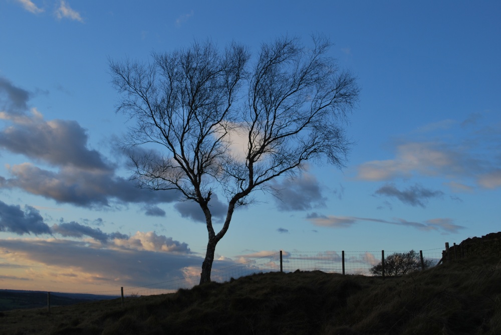 Beacon Hill photo by Jez Taylor