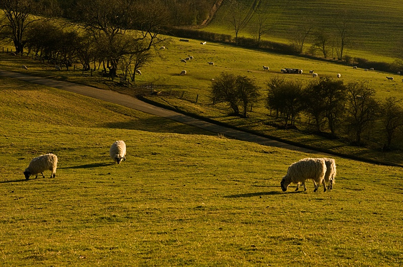 Burton Dassett Country Park