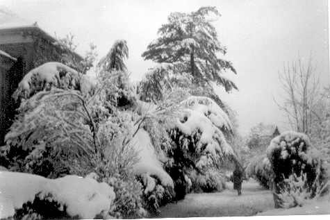 Photograph of Snow in Wallington 1963