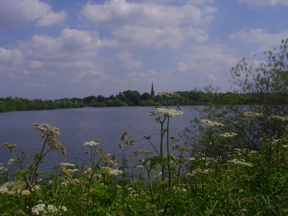 Attenborough Nature Reserve