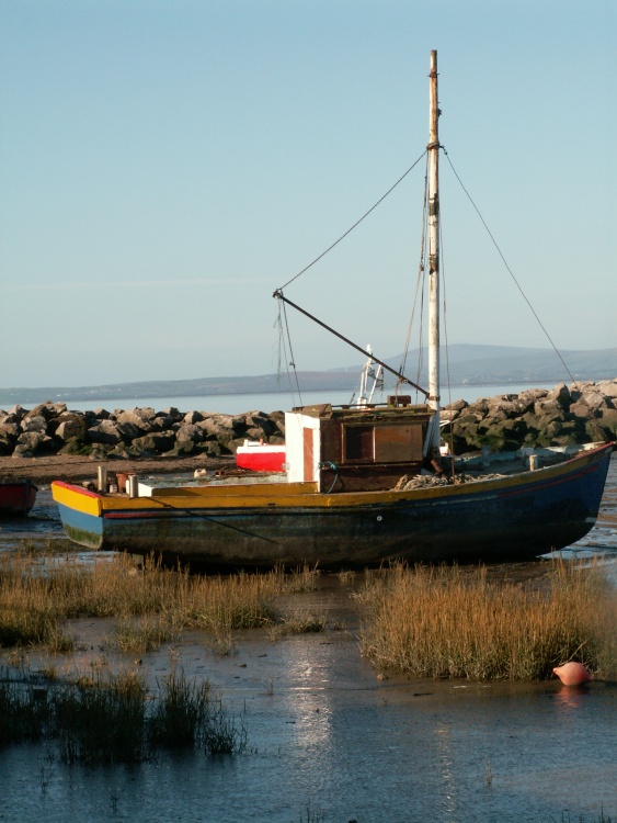 Waiting for the grass to grow