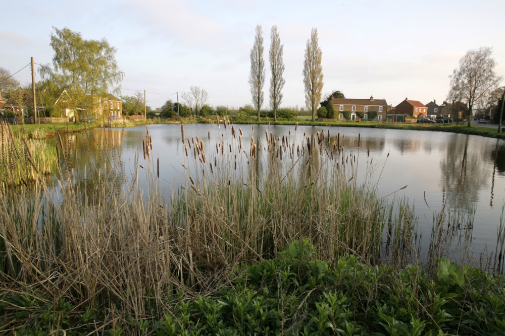 Photograph of Village pond